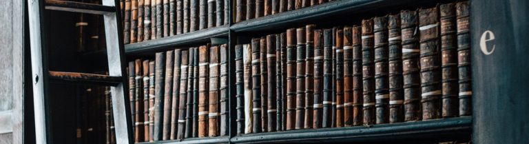 Freie Ergänzungsstudien im MA Pädagogik